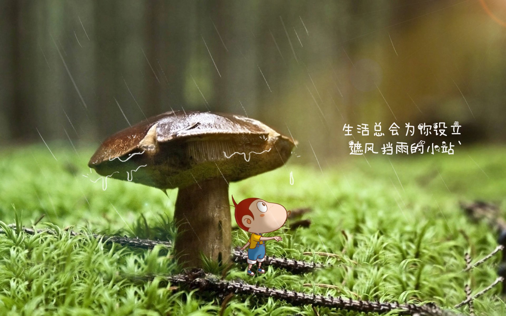中国足球文化影响力扩大，吸引更多年轻球迷，中国的足球文化