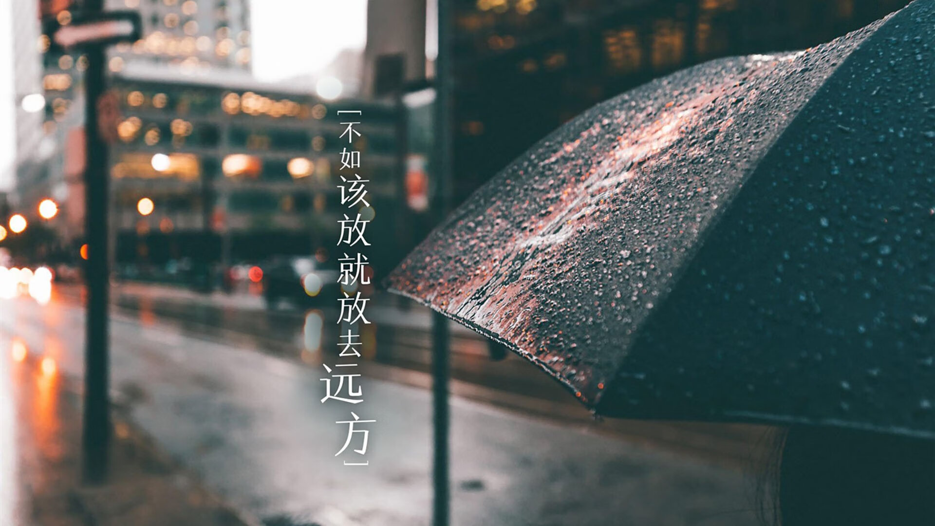 职业联赛与青训体系如何更有效衔接，职业联赛的性质